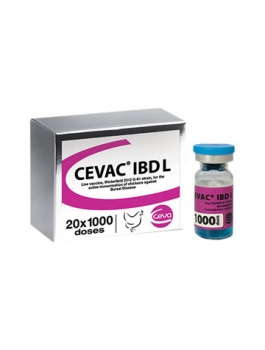 cevac-ibdl
