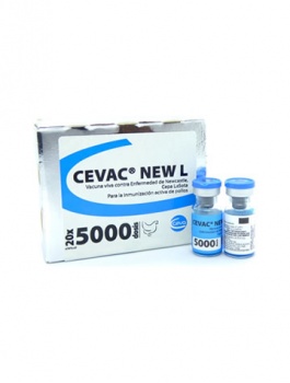 cevac-new-l_1123189449