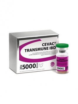 cevac-transmune-ibd