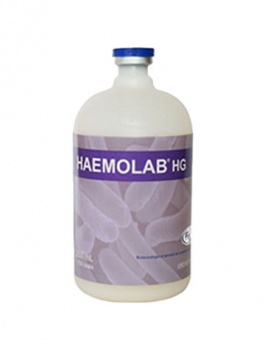 haemolab-hg_912143365