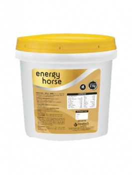 norgtech-energy-horse-cuete