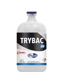 trybac-hg